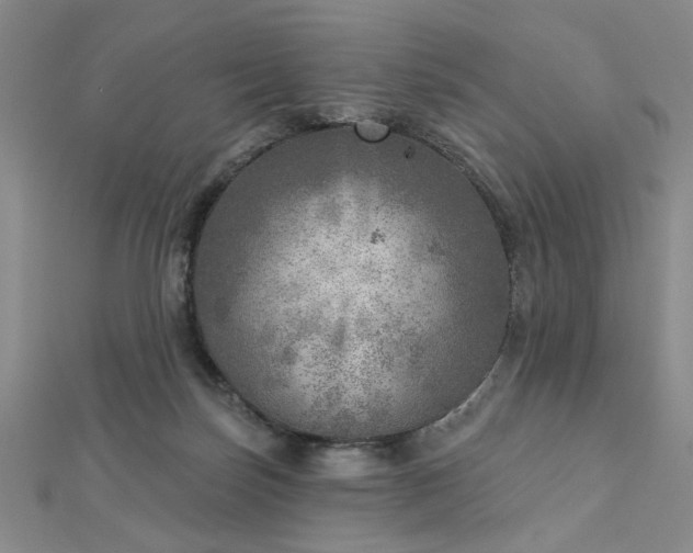 X0000112760171200908271627