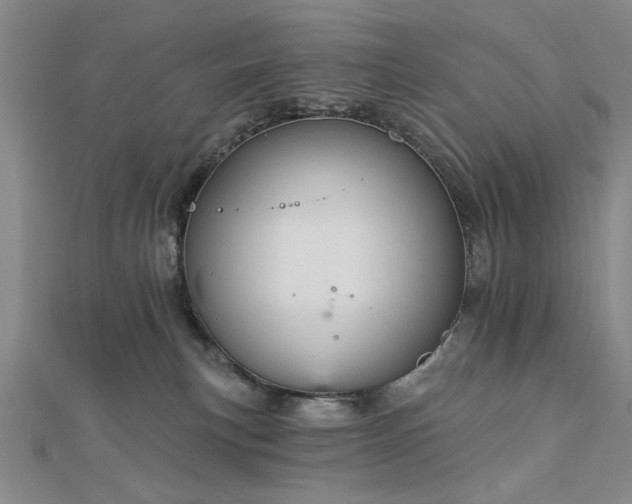 X0000112760183200908271628
