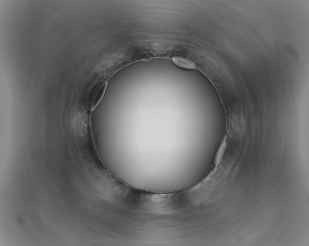 X0000112760184200908271628