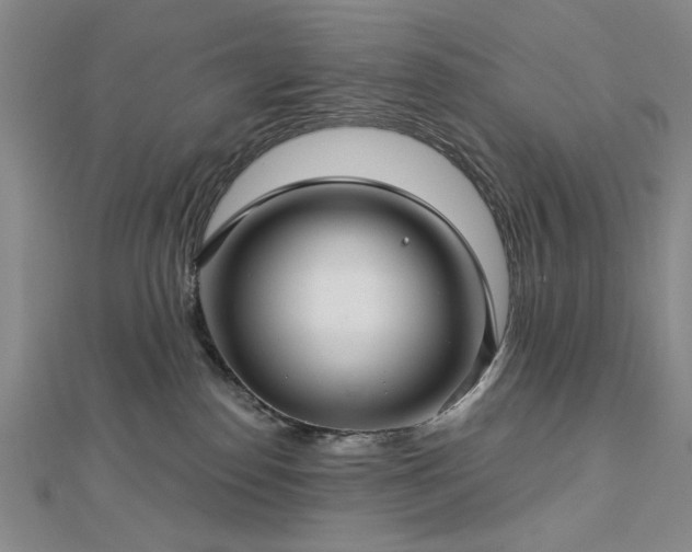 X0000112760186200908271628