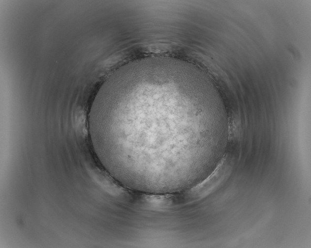 X0000112760187200908271628