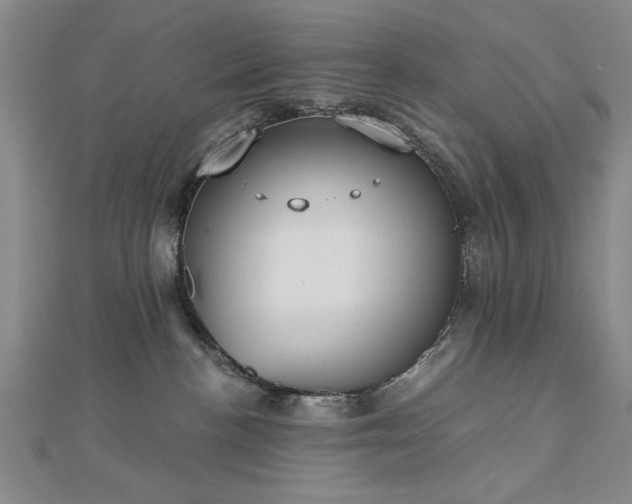 X0000112760188200908271628