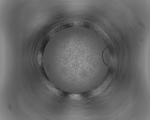 X0000112760189200908271628