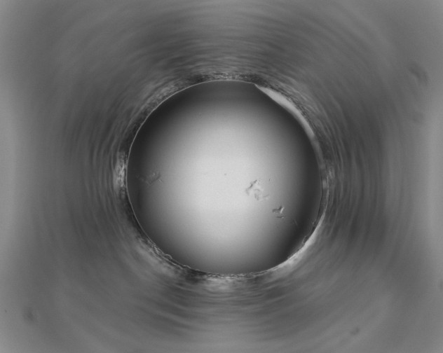 X0000112760190200908271628