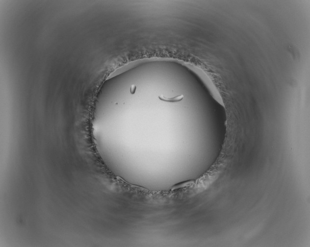 X0000112760192200908271628