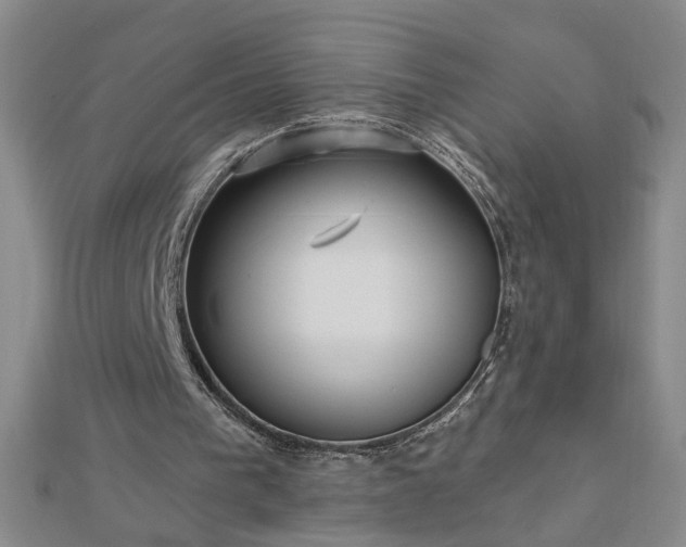 X0000112760193200908271627