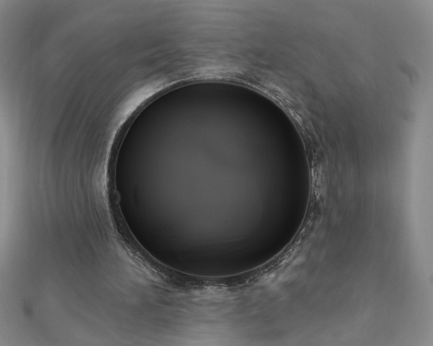 X0000112760196200908271627