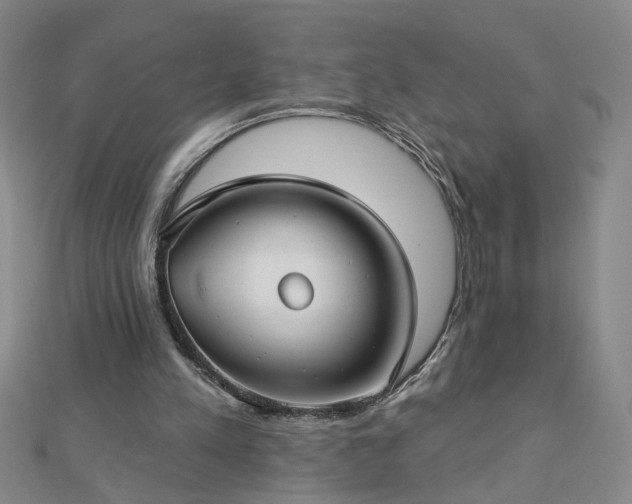 X0000112760197200908271627