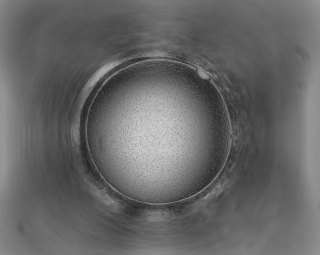 X0000112760200200908271627