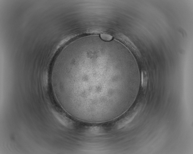 X0000112760204200908271627