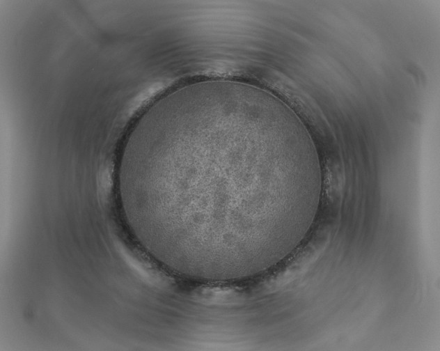 X0000112760208200908271627