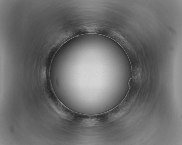 X0000112760213200908271627