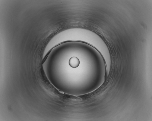 X0000112760215200908271627