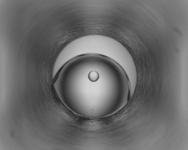 X0000112760219200908271627