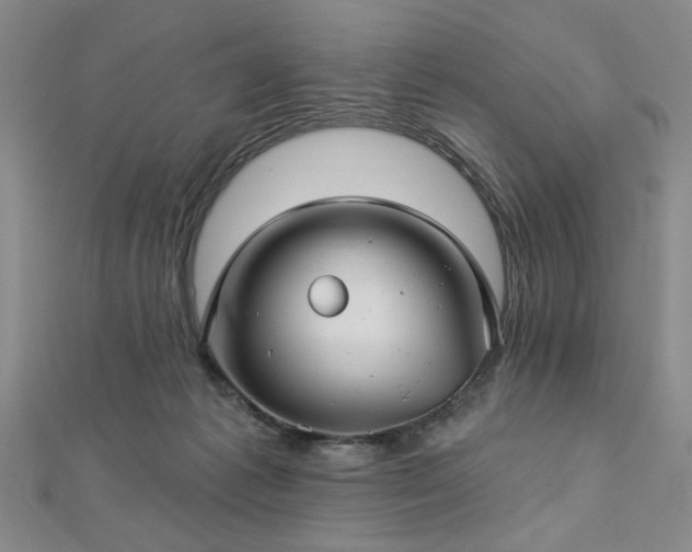 X0000112760221200908271626