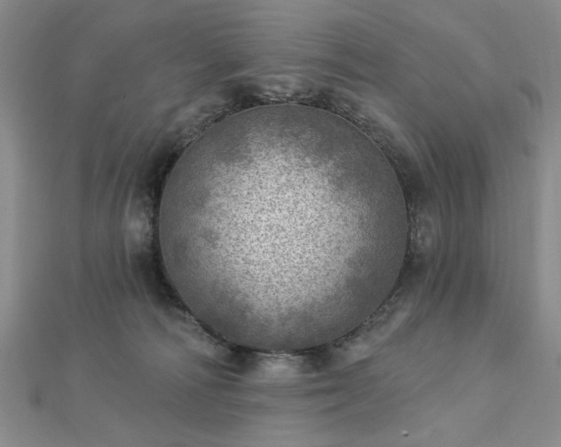 X0000112760226200908271626