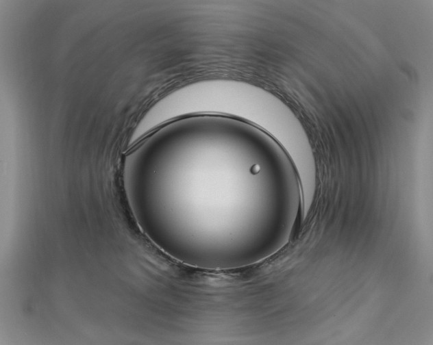 X0000112760229200908271626