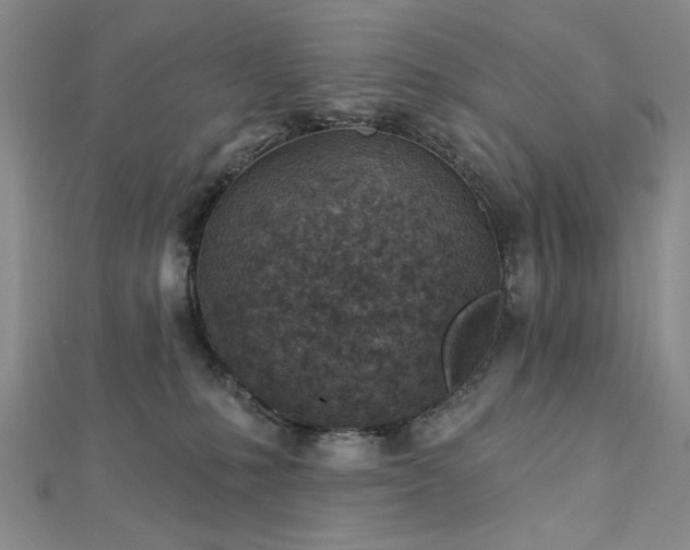 X0000112760231200908271626