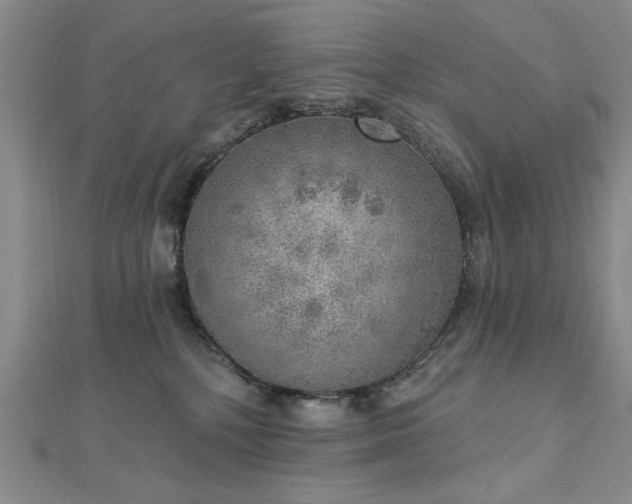 X0000112760232200908271626