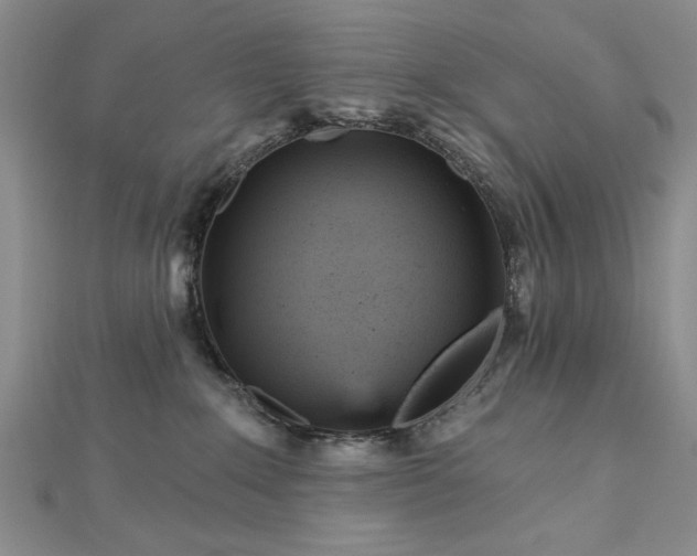 X0000112760235200908271626