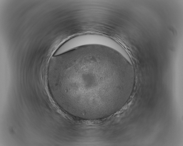 X0000112760241200908271625
