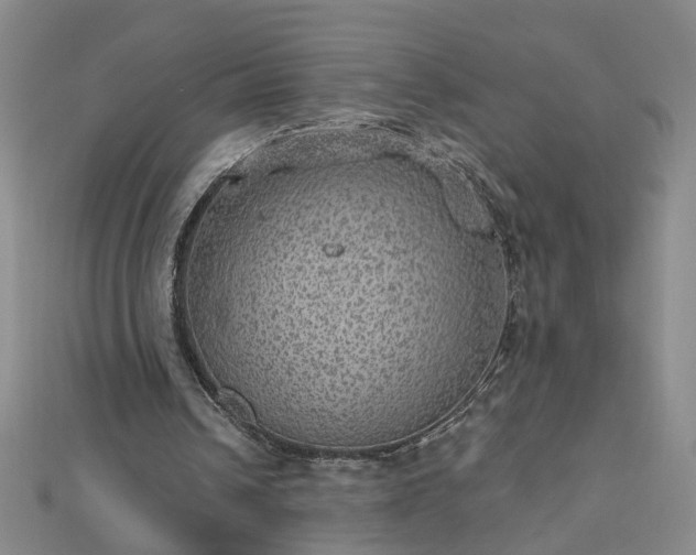X0000112760242200908271625