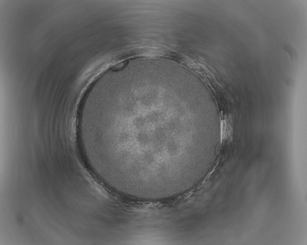 X0000112760243200908271625