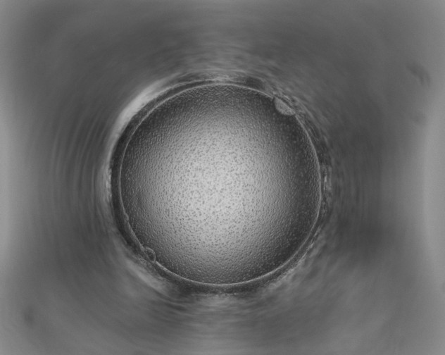 X0000112760246200908271625