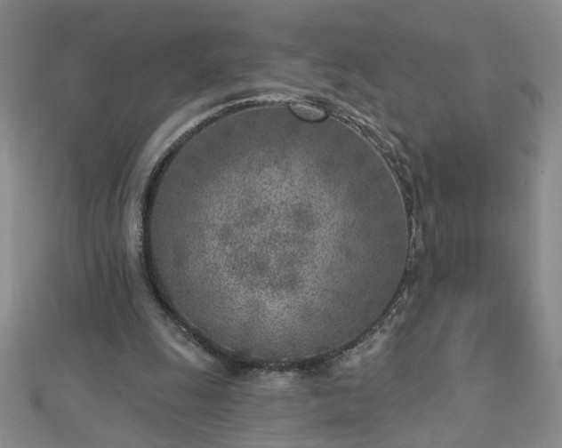 X0000112760247200908271625