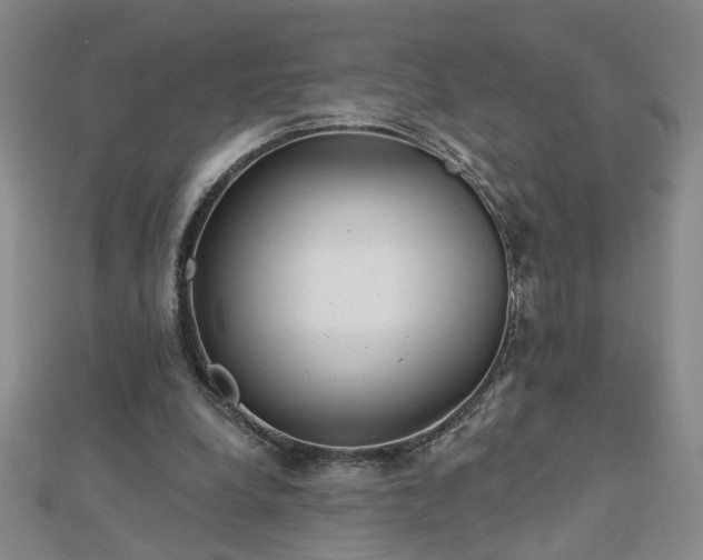 X0000112760248200908271625