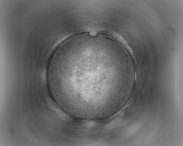 X0000112760249200908271625