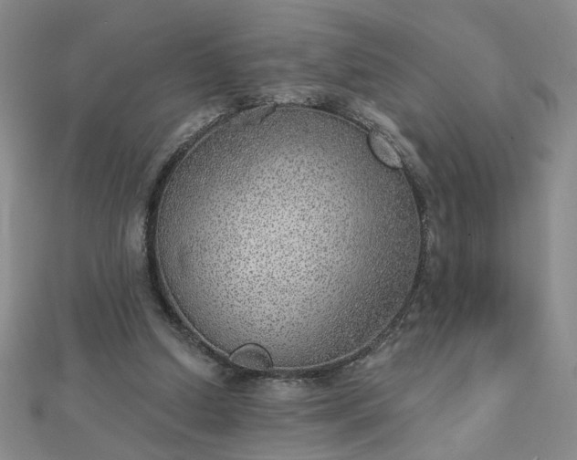 X0000112760250200908271625