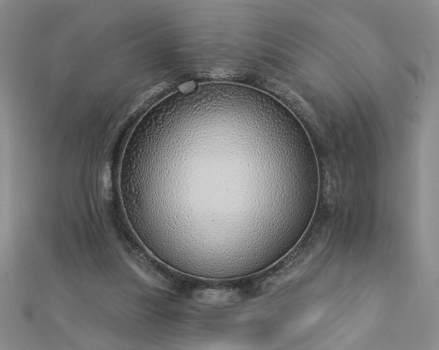 X0000112760251200908271625