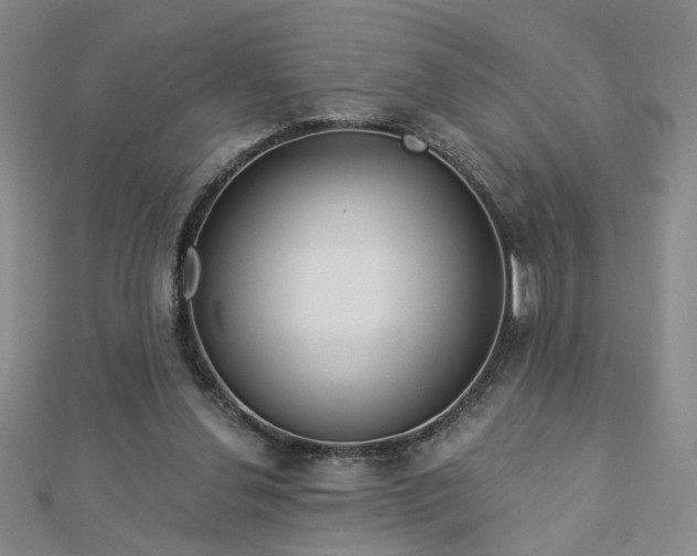 X0000112760252200908271625