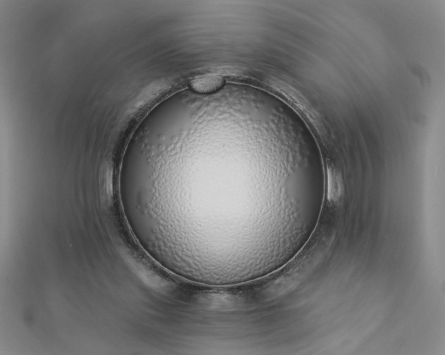 X0000112760253200908271625