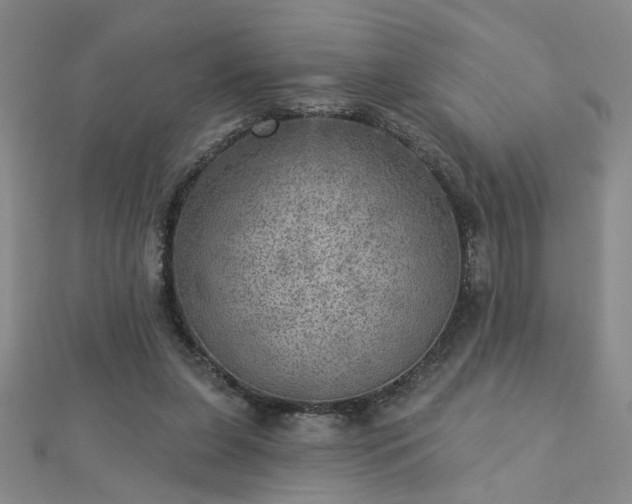 X0000112760255200908271625