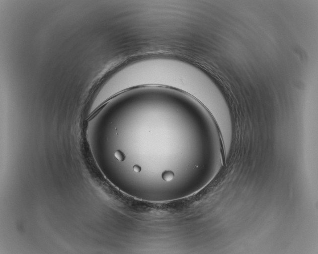 X0000112760256200908271625