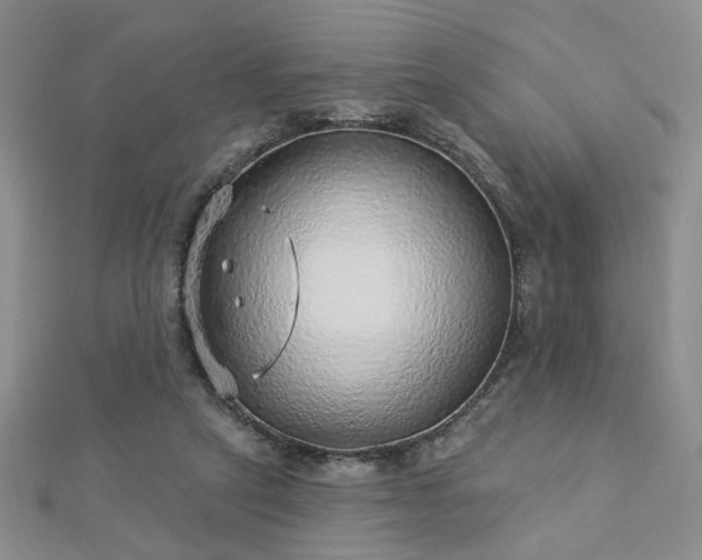 X0000112760257200908271625