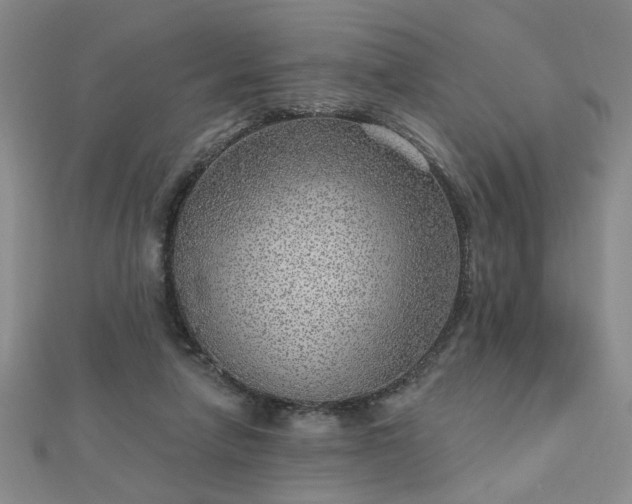 X0000112760258200908271626