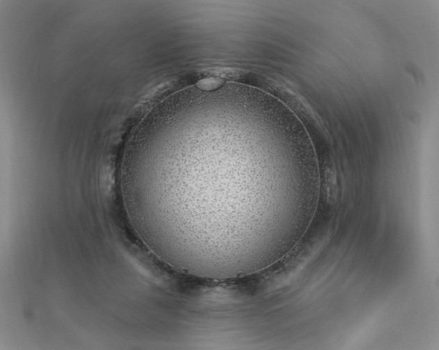X0000112760259200908271626
