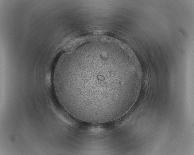 X0000112760262200908271626