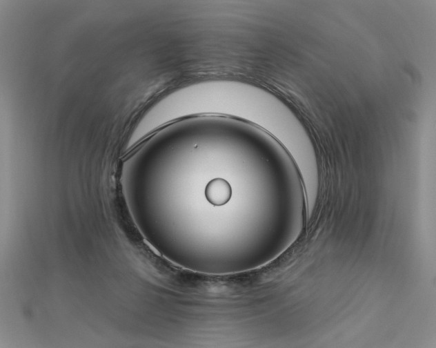 X0000112760264200908271626