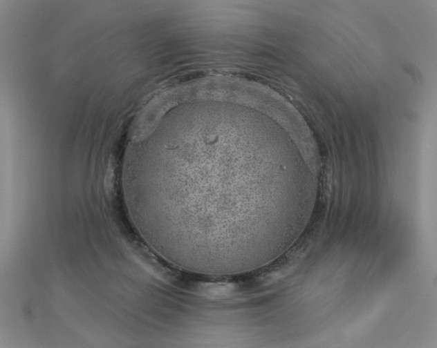 X0000112760266200908271626