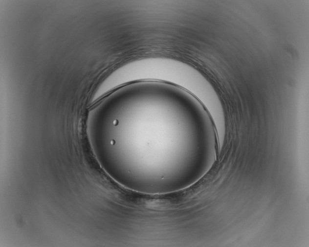 X0000112760268200908271626