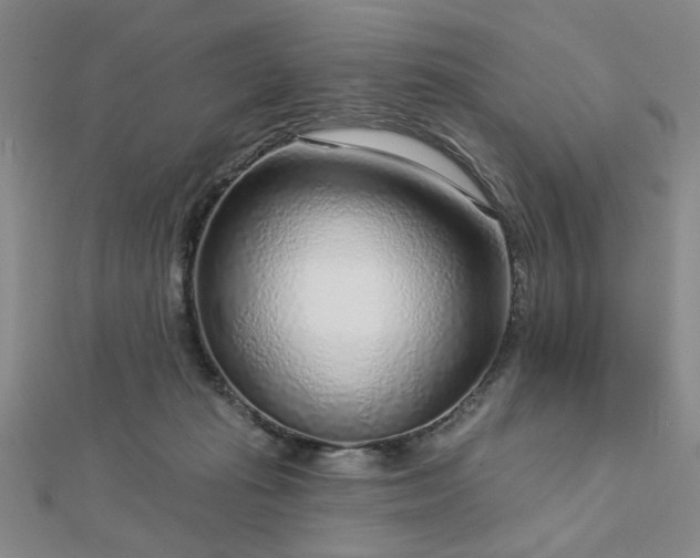 X0000112760269200908271626