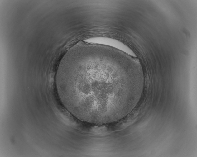 X0000112760271200908271626