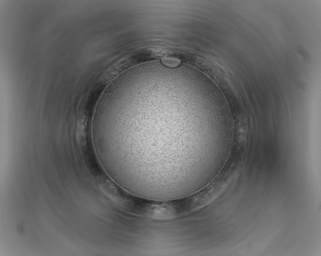 X0000112760275200908271626