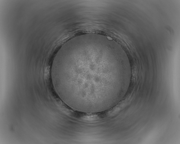 X0000112760278200908271626