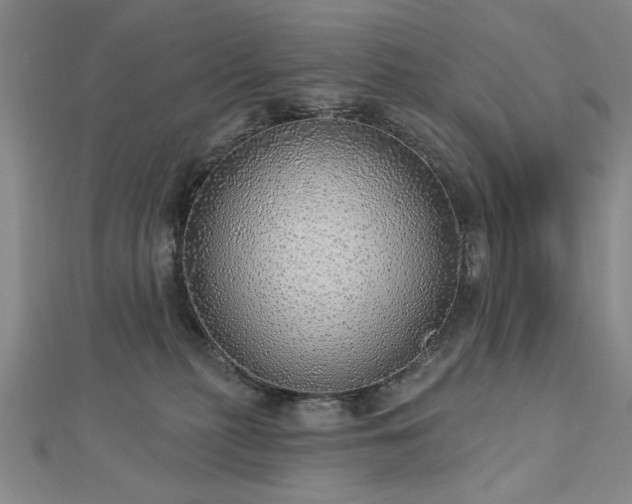 X0000112760279200908271626