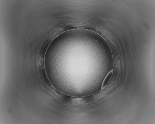 X0000112760281200908271626